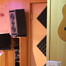 Estudio Goya