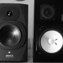 Monitores