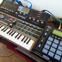 estudio 1