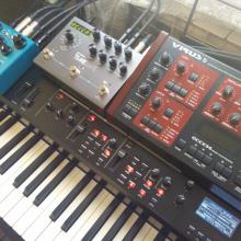 estudio 2