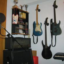 Vistazo general