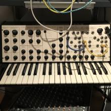 MS-20 blanco