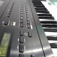 roland d-20