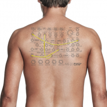 ms20 tatoo