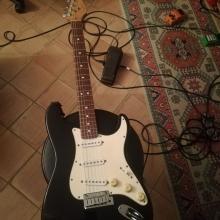 Fender