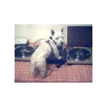 Dj_Yeyo