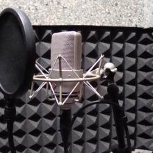 Neumann 2
