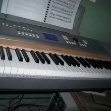 estudio 2