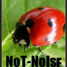 NoT--NoIse