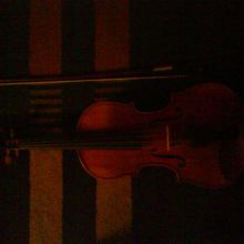violin