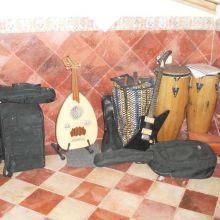 Instrumentos