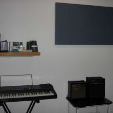 Estudio en agosto 2008 "2"
