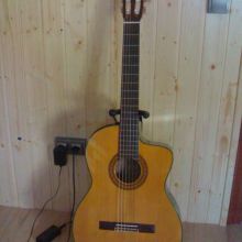 Takamine  cp132sc