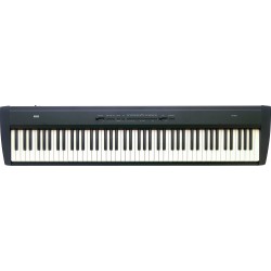 Korg SP-200