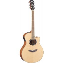 Yamaha APX 500