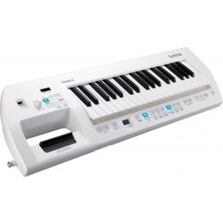 Roland Lucina AX-09