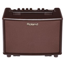 Roland AC-33-RW