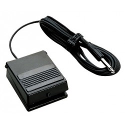 Roland DP-2