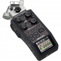 Zoom H6