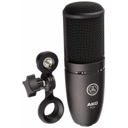 AKG P120