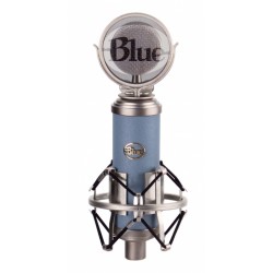 Blue bird