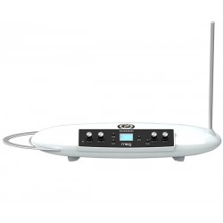 Moog Theremini