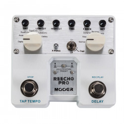 Mooer Reecho Pro