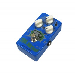 Biyang AD-10 Time Machine Delay Babyboom