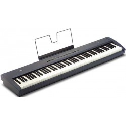 Korg SP100