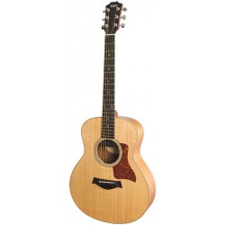 Taylor GS Mini