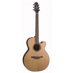 Takamine ETN40C