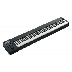 Roland A-88 MKII