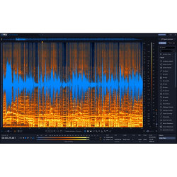 iZotope RX 12 Standard