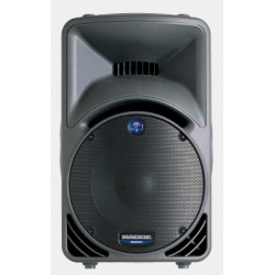 Mackie SRM450