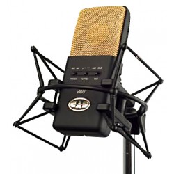 CAD Audio e100-SM