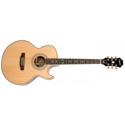Epiphone PR5-E