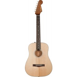Fender Newporter Traveler