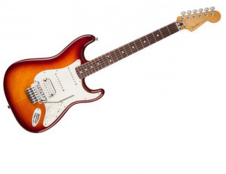 Fender Stratocaster Plus