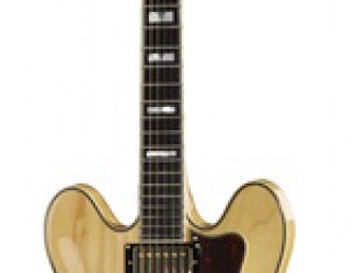 Epiphone Sheraton II N