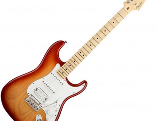 Fender Stratocaster American Standard Ash