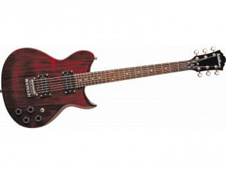 Washburn WI14