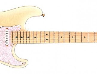 Fender Stratocaster Richie Kotzen Signature