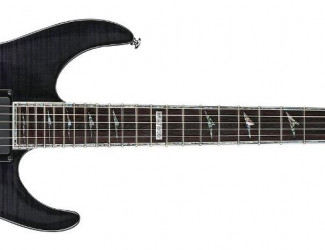 LTD M-1000