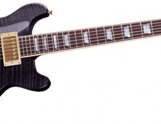 Gibson Les Paul DC Standard Plus