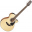 Takamine GF30CE
