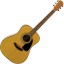 Fender DG-7