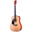 Fender DG-5 NAT