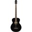 Fender BG-31 Acoustic/Electric - Black