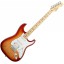 Fender Stratocaster American Standard Ash