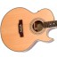 Epiphone PR5-E Natural Guitarra Electroacústica